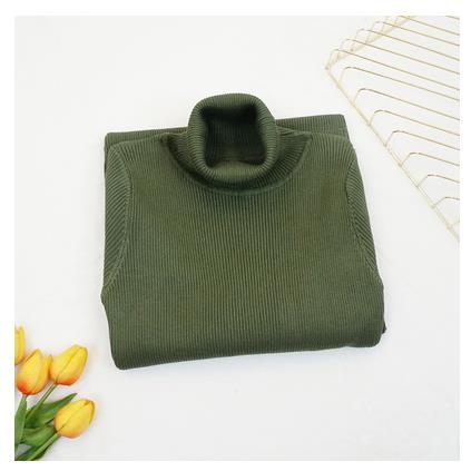 Knitted Turtleneck Dress